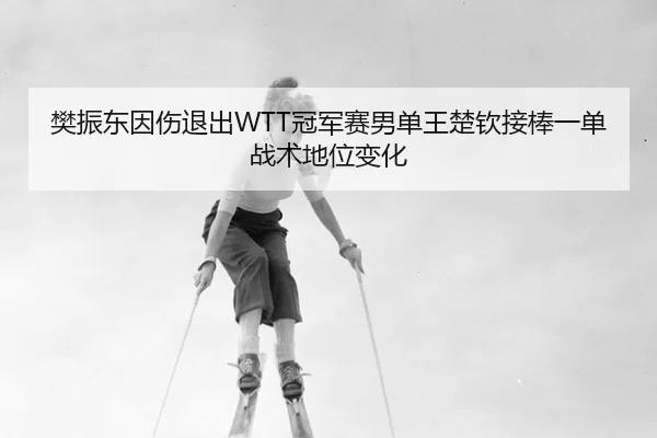 樊振东因伤退出WTT冠军赛男单王楚钦接棒一单战术地位变化